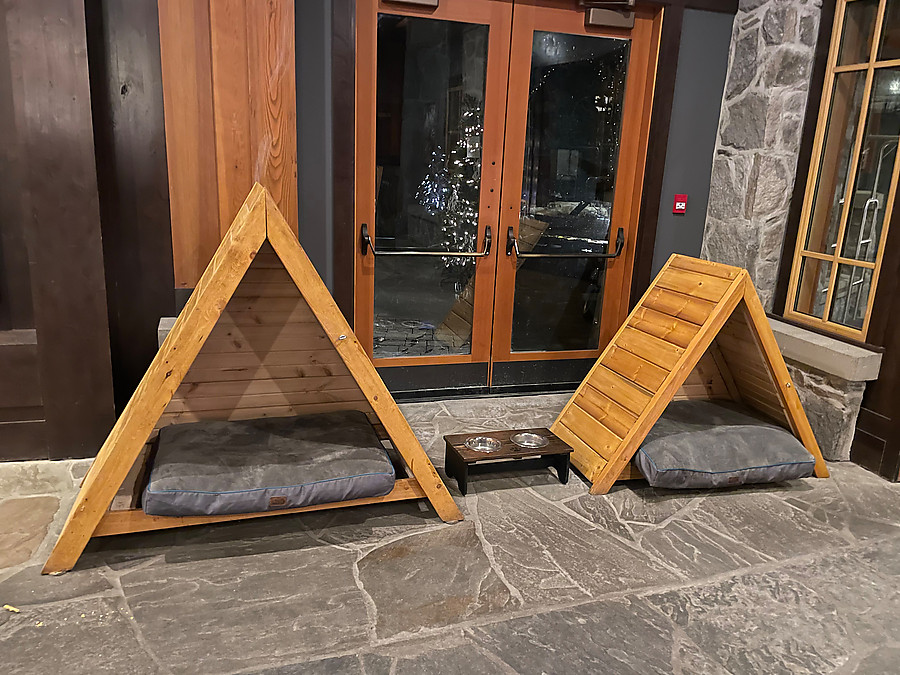 hotel has dog beds at check in