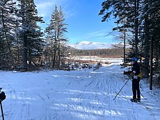 XC ski friends